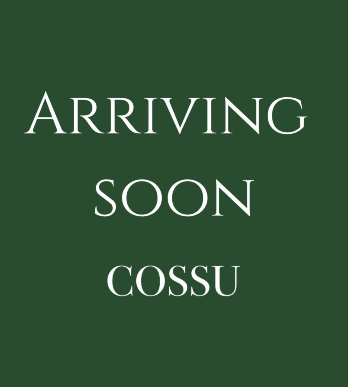 Sisini- Handwoven Italian Leather Tote